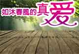 婚友社相親活動-如沐春風的真愛